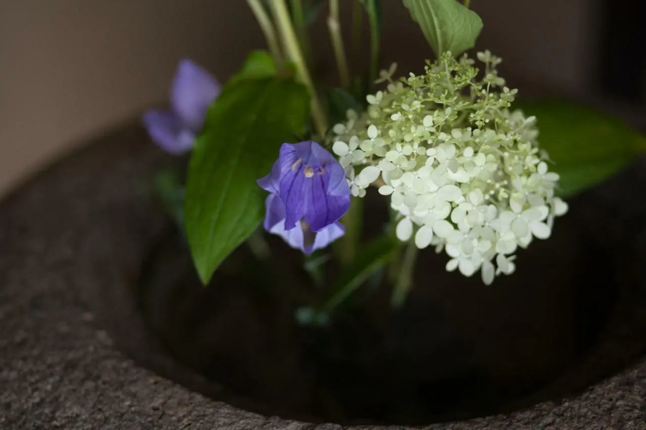 Bed & Breakfast Tsukiya Kyoto